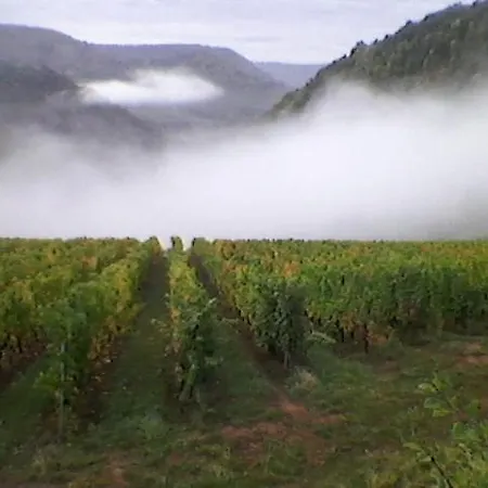 Maison Isolee Dans Les Vignes Et Les Bois Semesterbostad