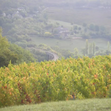 Maison Isolee Dans Les Vignes Et Les Bois Semesterbostad Valady