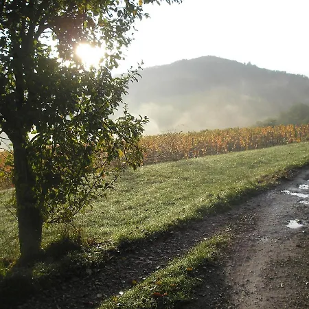 Maison Isolée Dans Les Vignes Et Les Bois Valady