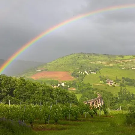Maison Isolée Dans Les Vignes Et Les Bois