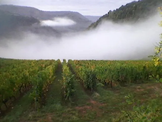 Maison Isolee Dans Les Vignes Et Les Bois Dom wakacyjny