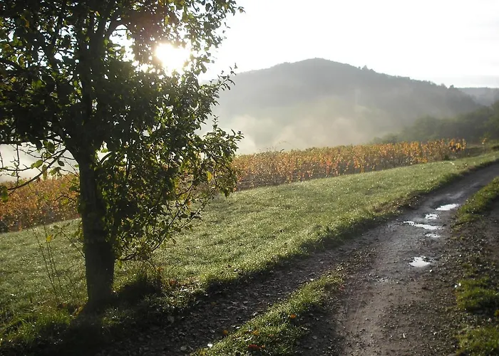 Maison Isolee Dans Les Vignes Et Les Bois Valady